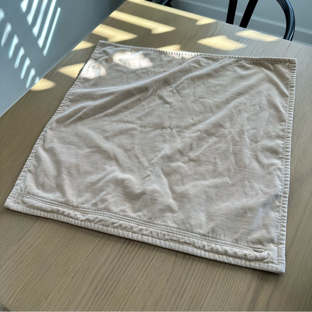 Pottery Barn Everywhere Velvet Pillow Case